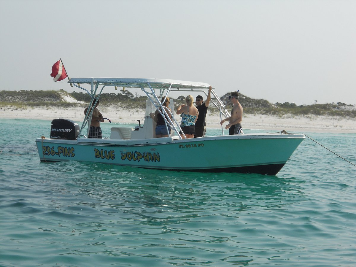 blue dolphin tours reviews