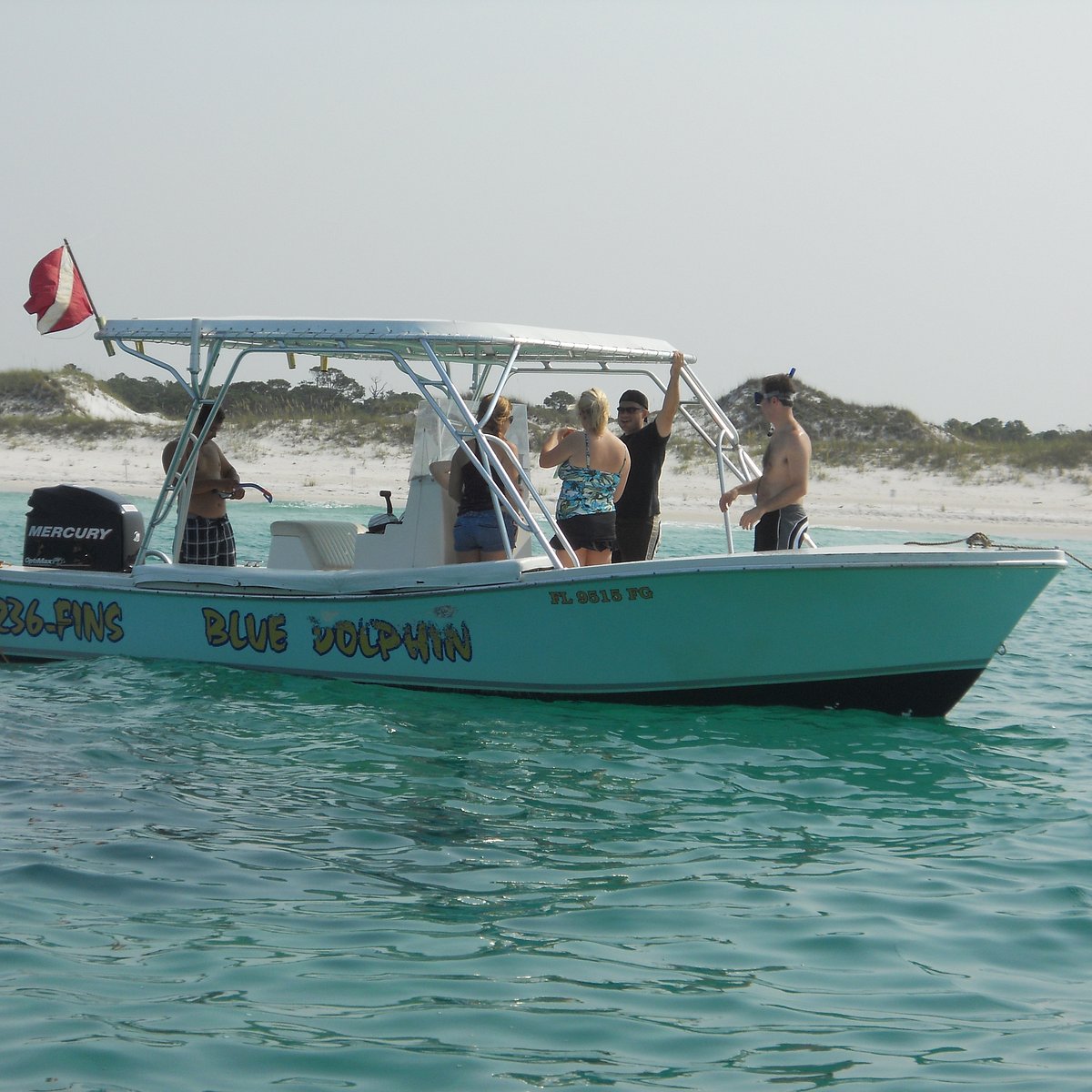 Shell Island Blue Dolphin Tours - All You Need to Know BEFORE You