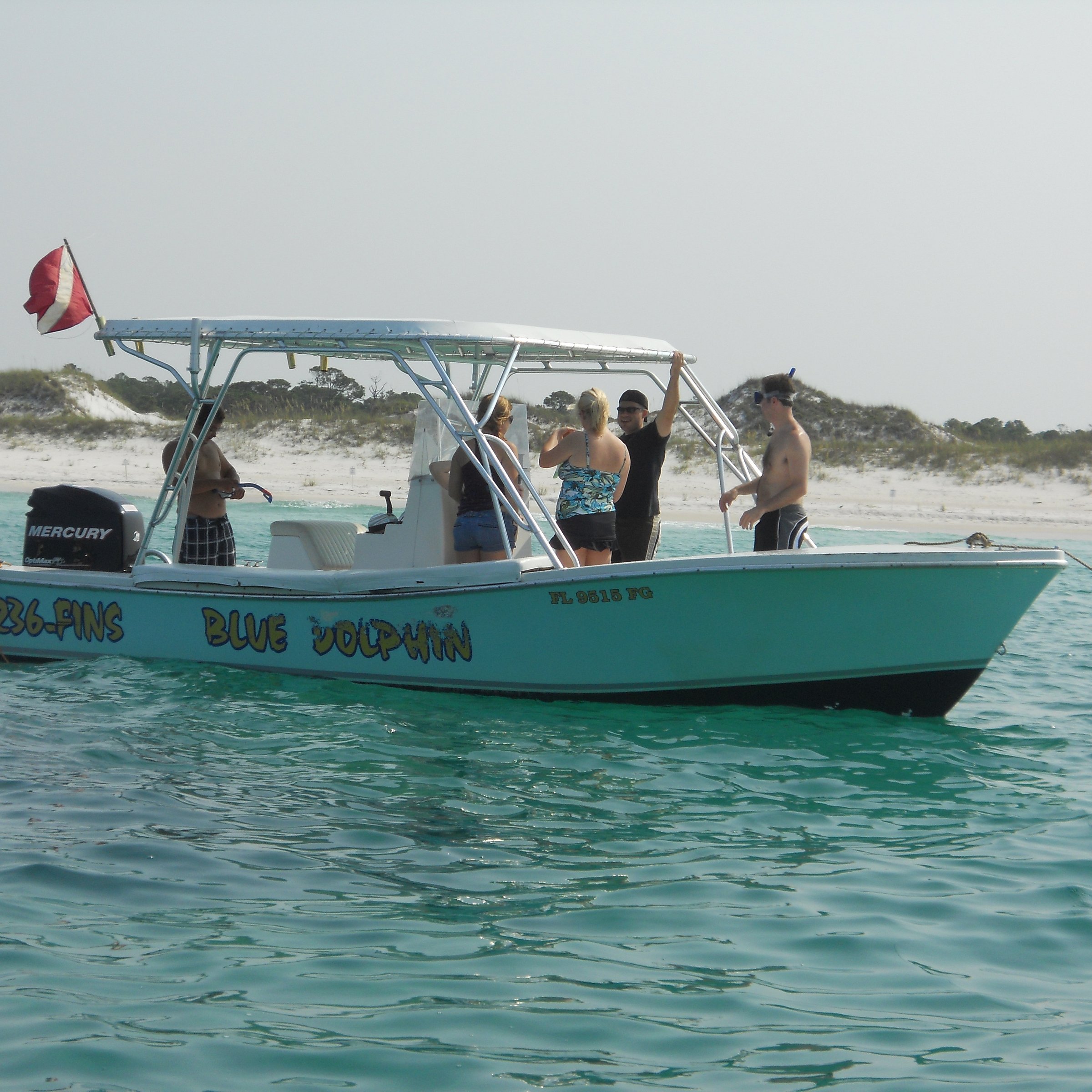 blue dolphin tours pcb fl