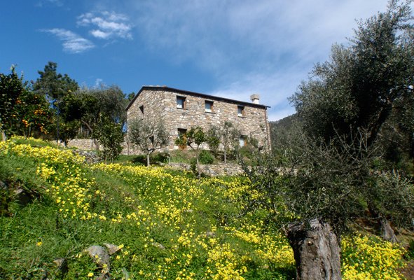 getlstd_property_photo