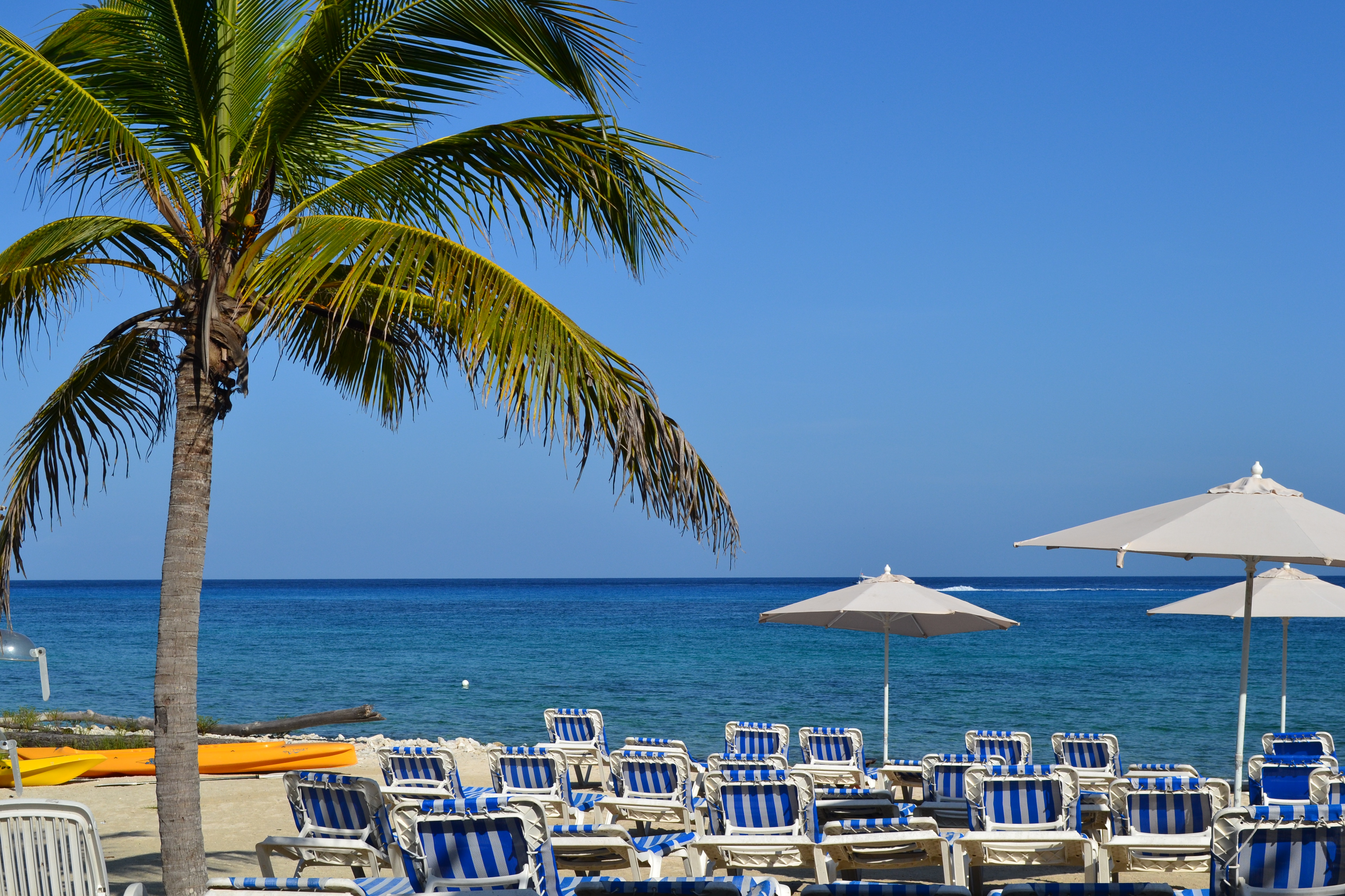 Playa Uvas Beach Club Cozumel: Your Ultimate Guide to Paradise