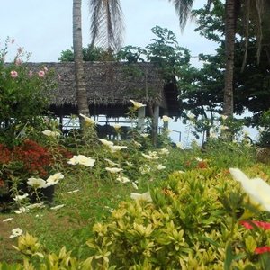 a view from the resort entrance