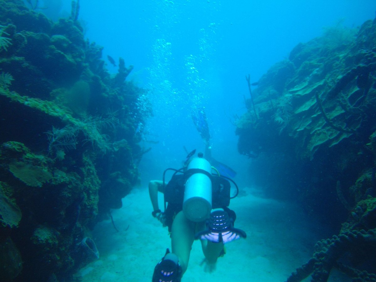 CANE BAY DIVE SHOP (St. Croix) All You Need to Know BEFORE You Go