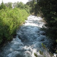 The Dan River