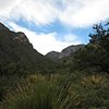 Things To Do in McKittrick Canyon Nature Trail, Restaurants in McKittrick Canyon Nature Trail