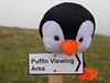 flapjack_the_puffin