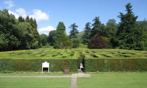 A-maze-ing
