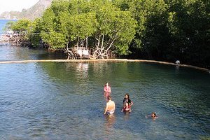 Maquinit Hot Spring, Coron Island Palawan