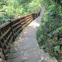 lots of stairs