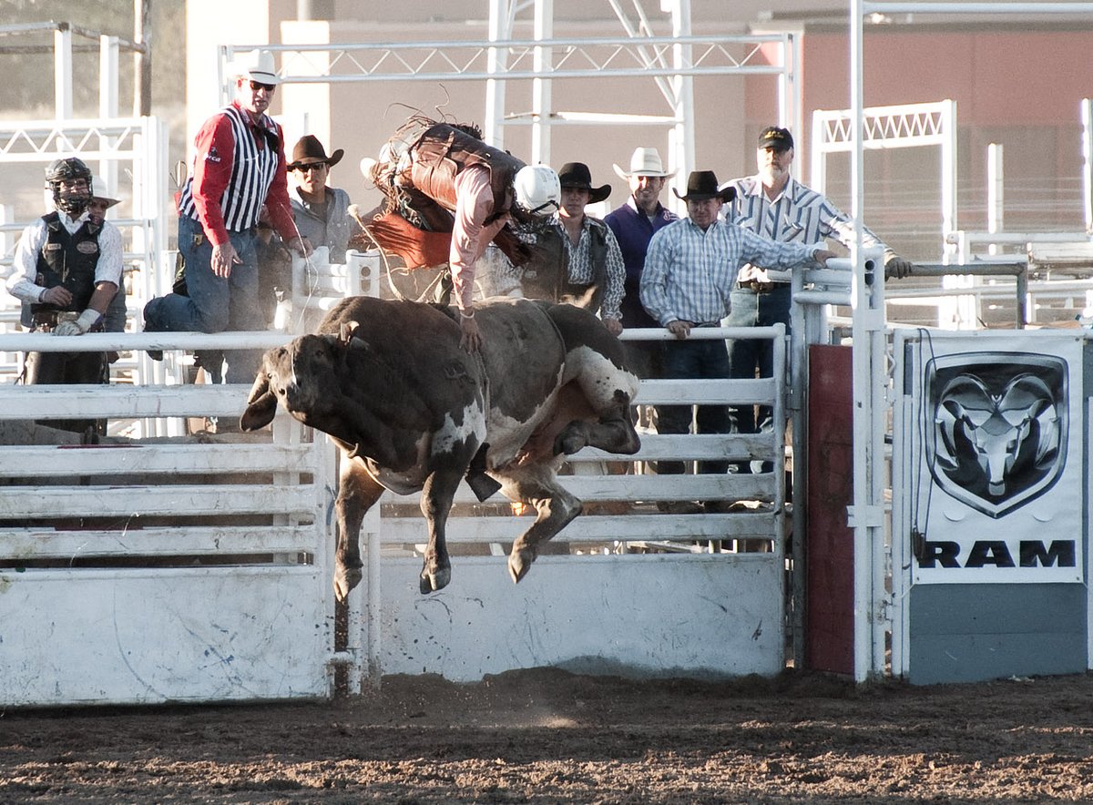 Rodeo de Santa Fe All You Need to Know BEFORE You Go