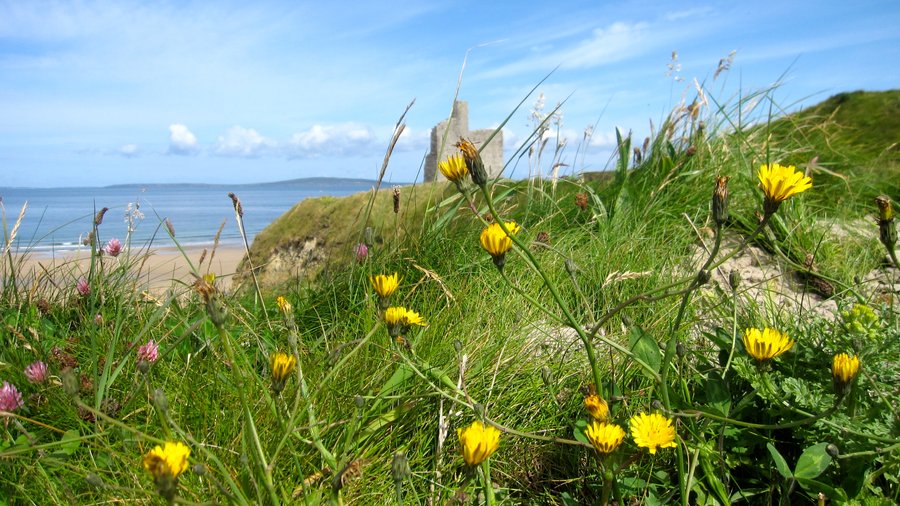 The Beach at Ballybunion