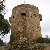 View of Tower from below at farmhouse