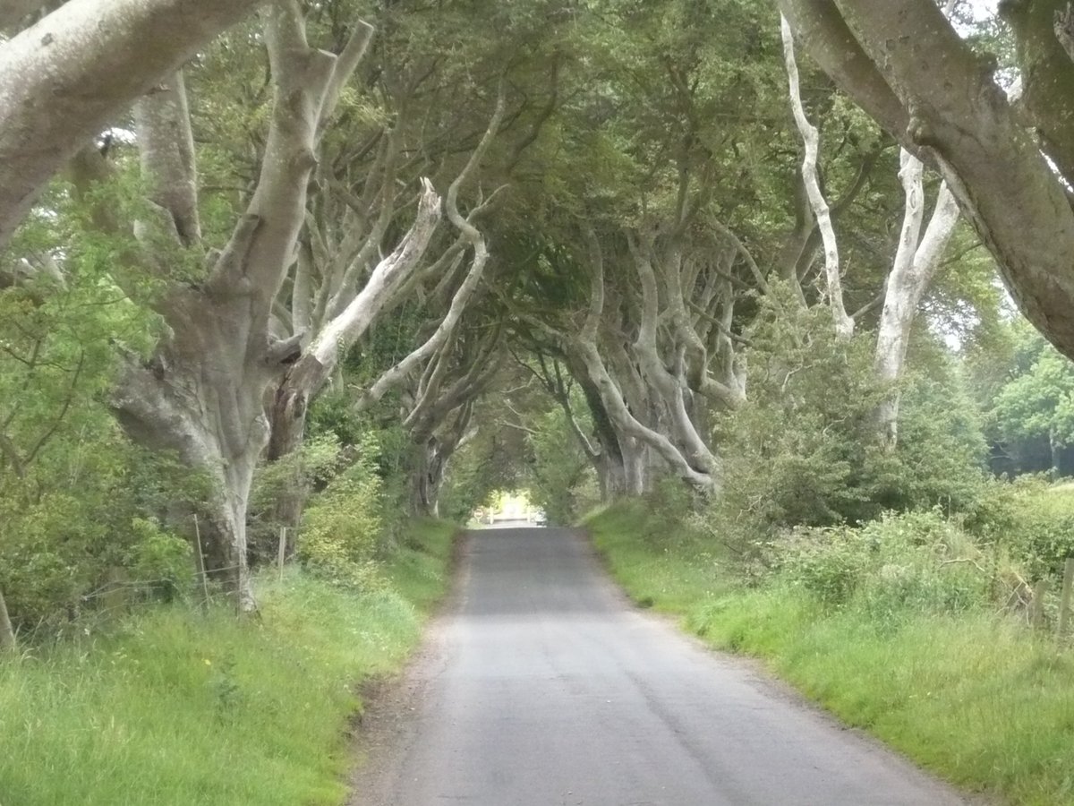 The Dark Hedges, Ballymoney: лучшие советы перед посещением - Tripadvisor