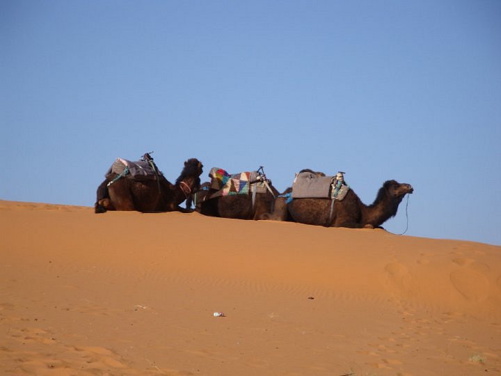 Morocco Sahara 4x4 - Day Tours image