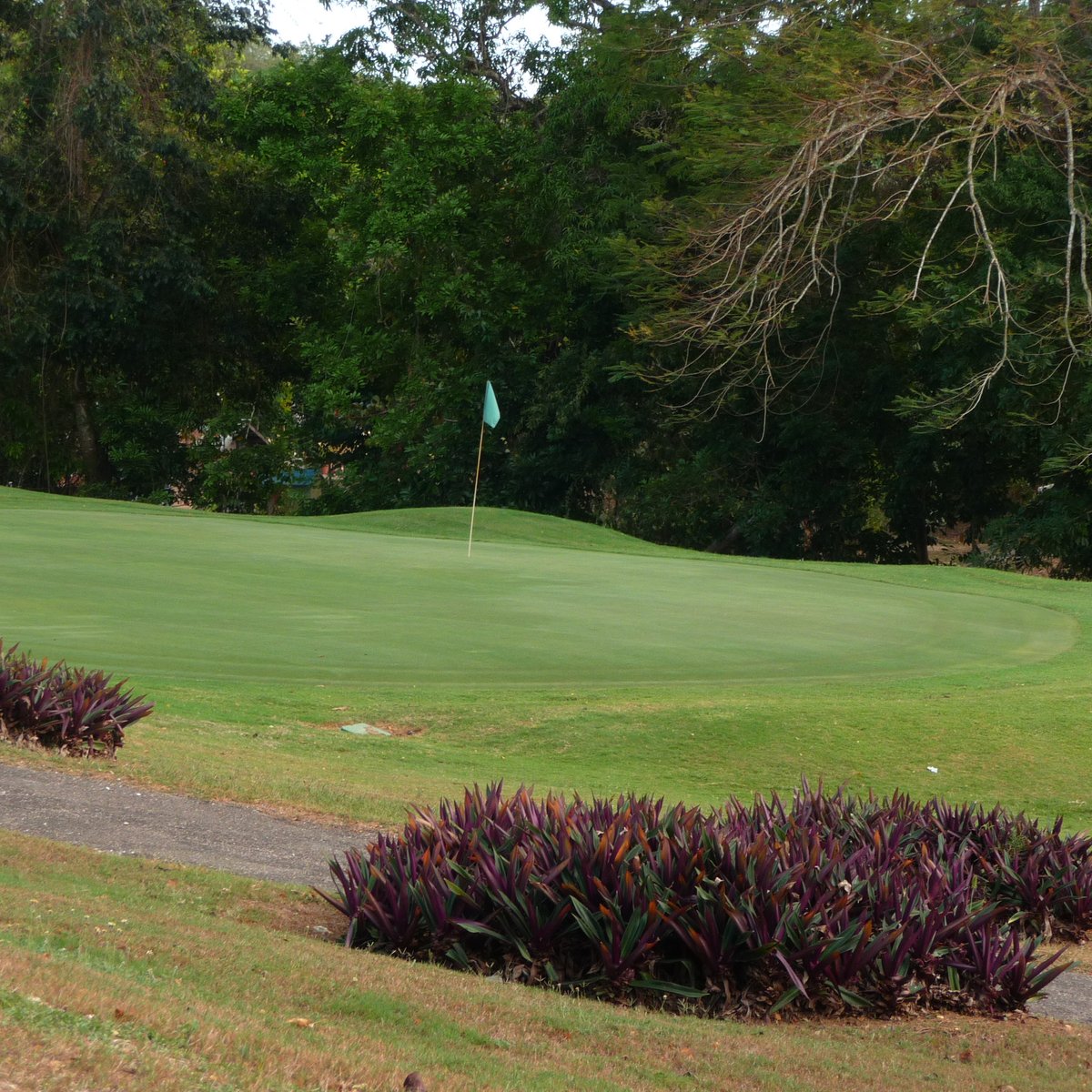 Negril Hills Golf Club (Jamaica) omdömen Tripadvisor