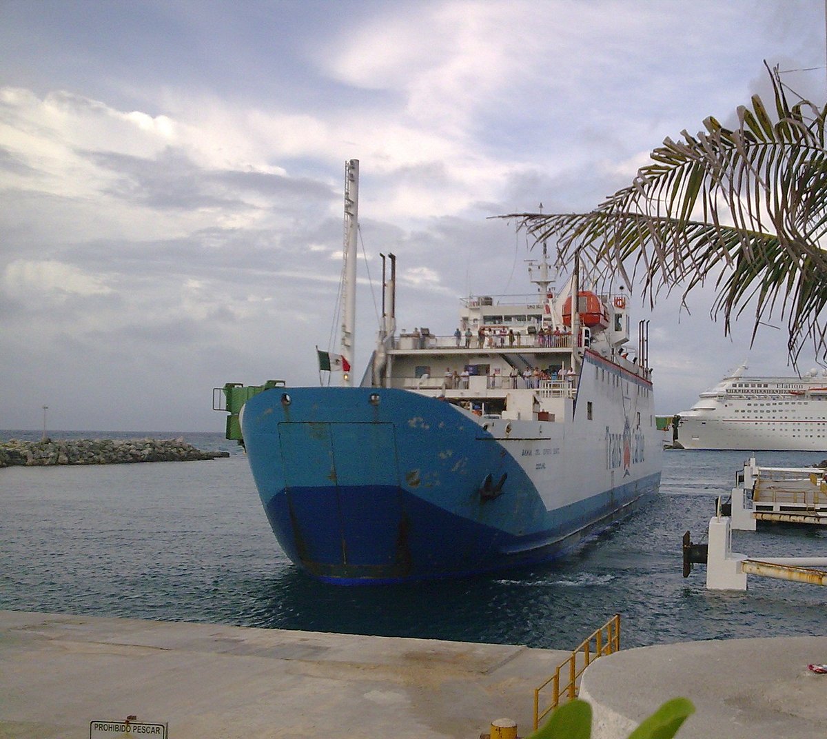Transbordadores del Caribe (Cozumel) - 2023 Lo que se debe saber antes de  viajar - Tripadvisor