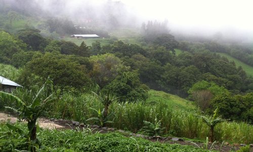 View from the farm