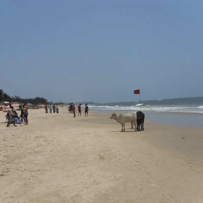 THE 10 BEST Things to Do in North Goa District - 2021 (with Photos ...