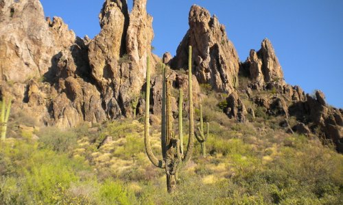 along the Peralta Trail