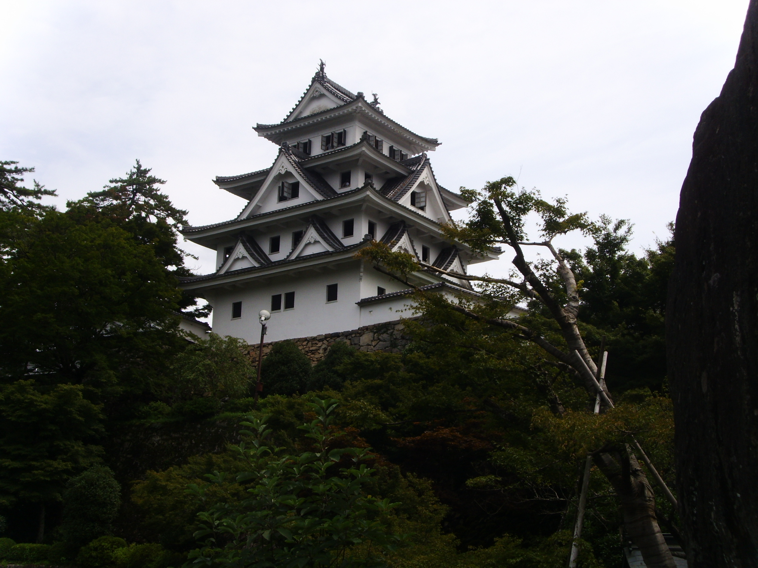 2025年 郡上八幡城 - 出発前に知っておくべきことすべて - トリップアドバイザー