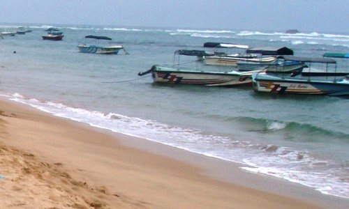 The tiny Little glass bottomed boats.