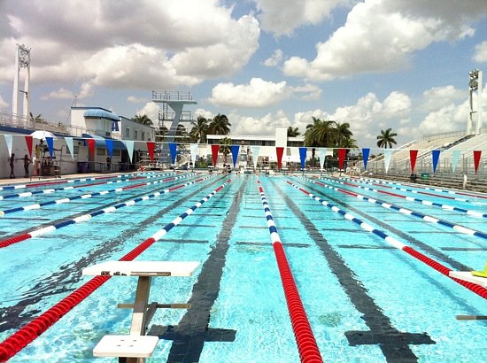 Fort Lauderdale inaugura centro aquático com maior torre de mergulho do  Ocidente - AcheiUSA