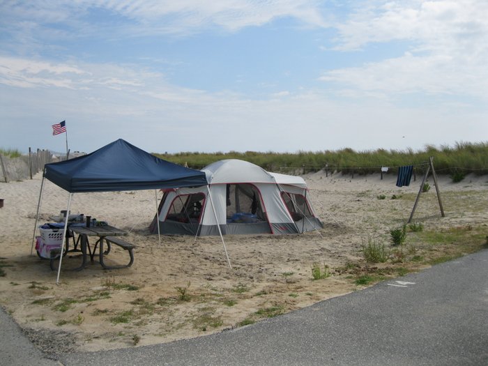 are dogs allowed at assateague