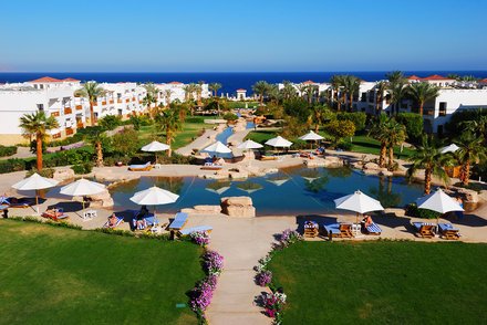 Shores Paradise!!