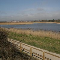 nature reserve- clear veiw of the path