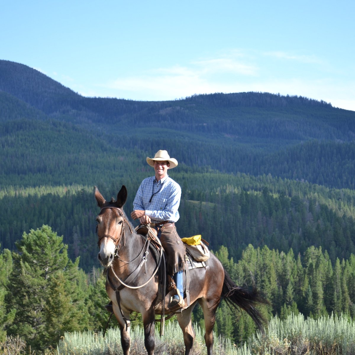 Horse Creek Outfitters, Western Boutique