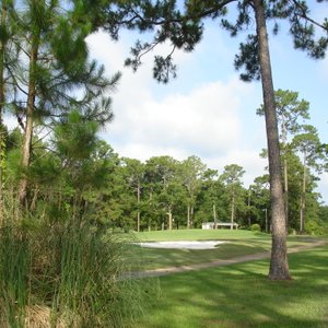 SHELL LANDING GOLF COURSE - All You MUST Know Before You Go (2024)