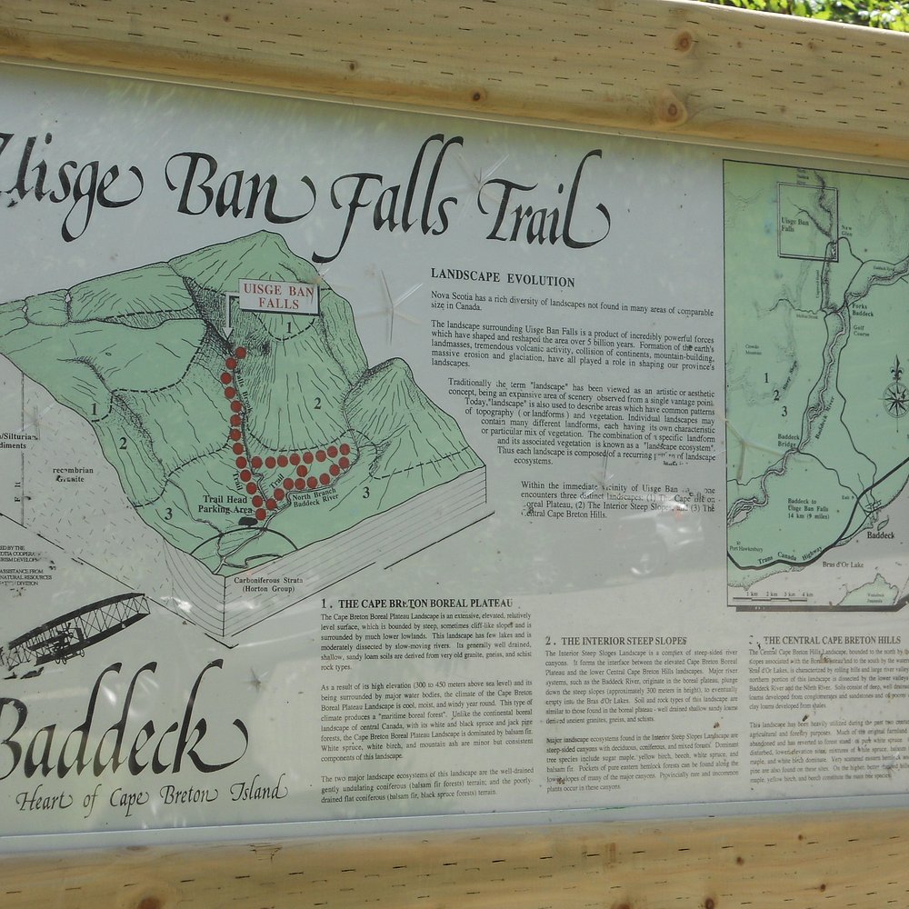 21年 Skyline Trail 行く前に 見どころをチェック トリップアドバイザー 21年 Skyline Trail 行く前に 見どころをチェック トリップアドバイザー