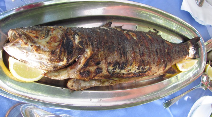 Grilled fish