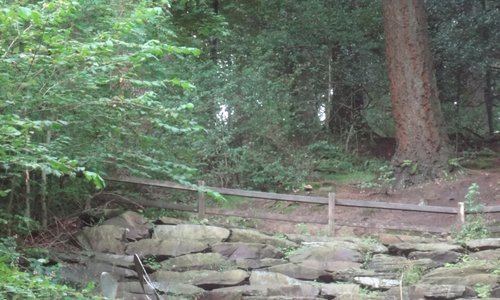 Sculptures at Grizedale forest