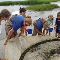 Marine Ecology Walk