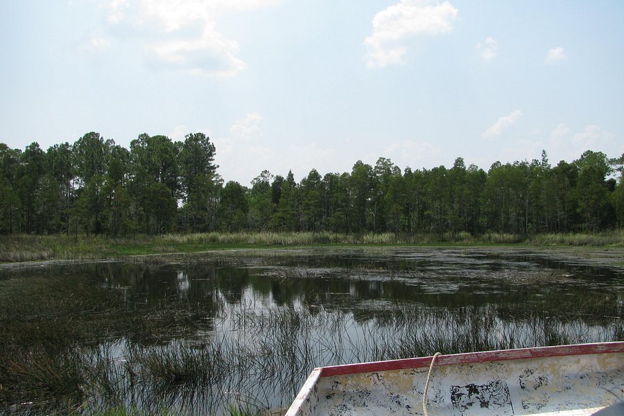 airboat tours mobile al