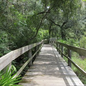 Hillsborough River State Park (Thonotosassa) - All You Need to Know ...