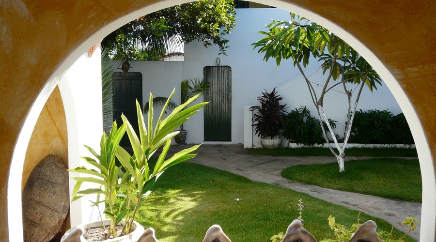 Jardin