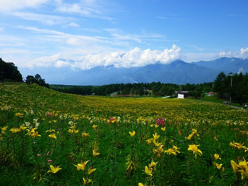 22年 富士見町で絶対外さないおすすめ観光スポットトップ10 定番から穴場まで トリップアドバイザー