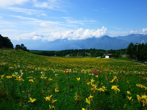 22年 富士見町で絶対外さないおすすめ観光スポットトップ10 定番から穴場まで トリップアドバイザー 22年 富士見町で絶対外さないおすすめ観光スポットトップ10 定番から穴場まで トリップアドバイザー