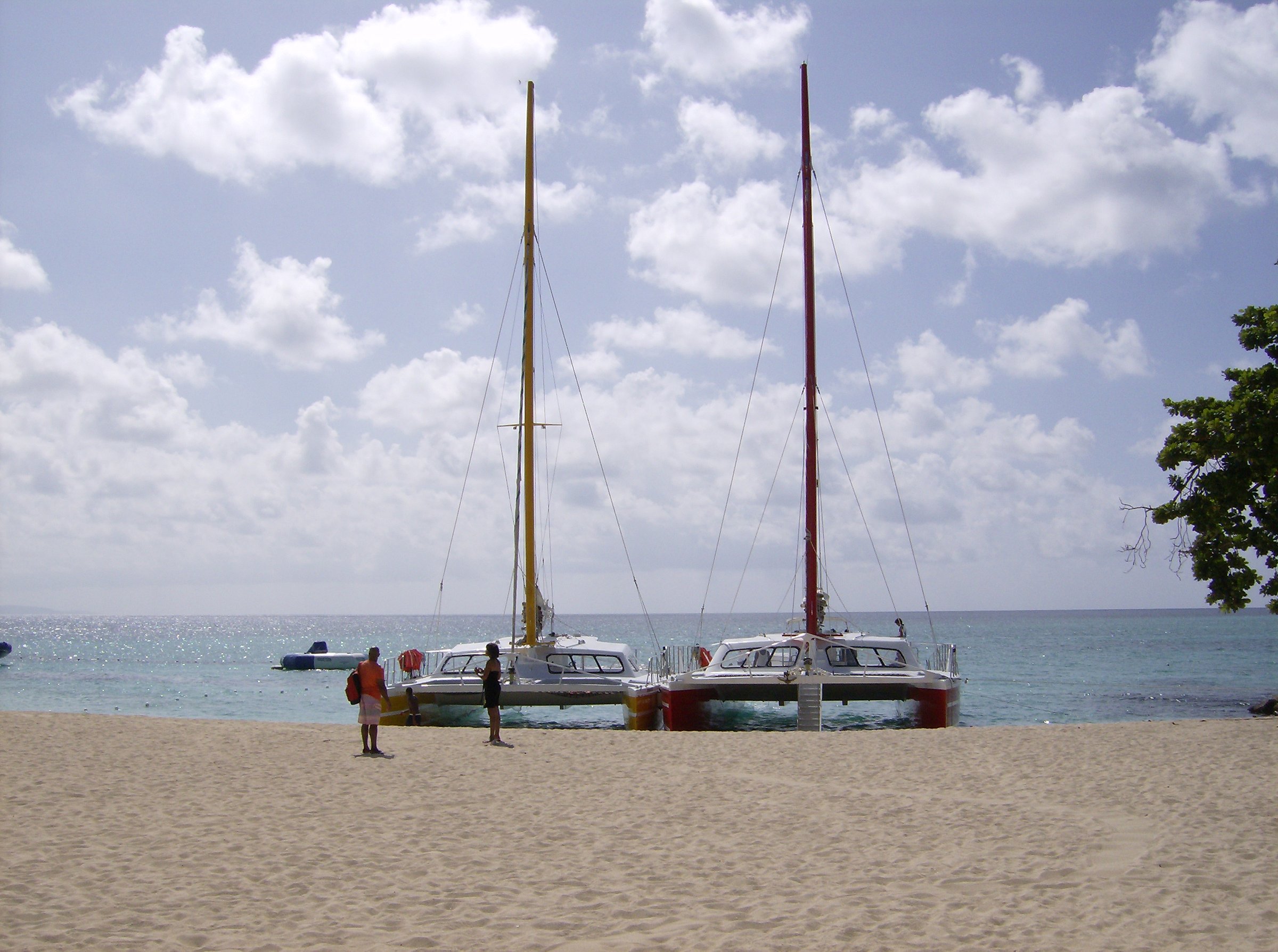 dreamer catamaran cruises