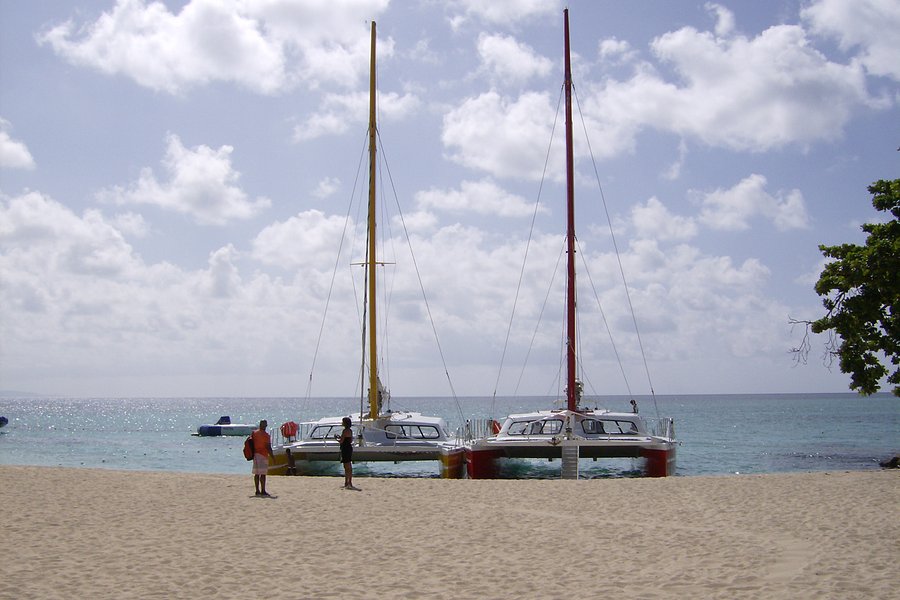 catamaran jamaica montego bay