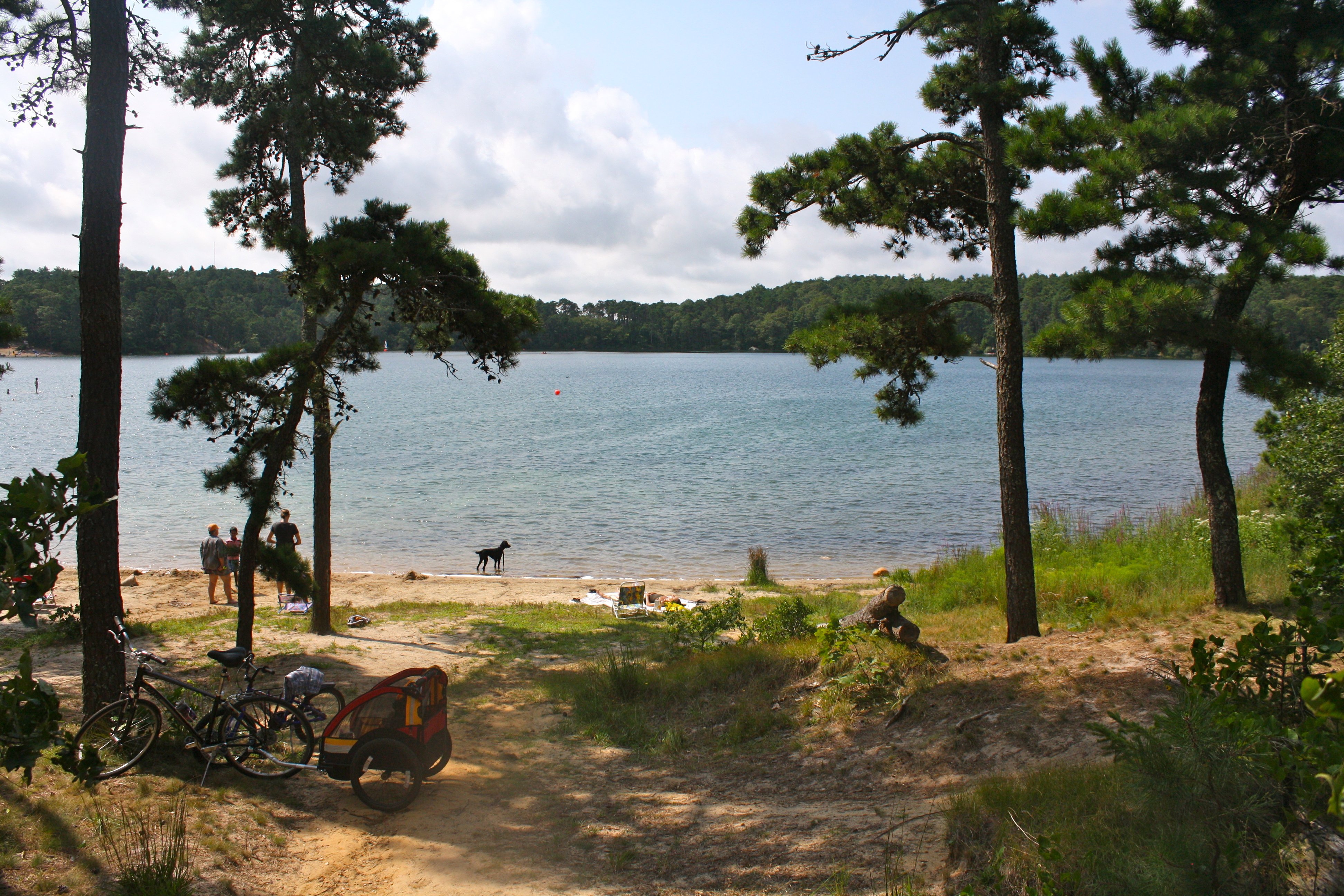 NICKERSON STATE PARK CAMPGROUNDS Updated 2024 Campground Reviews Brewster MA Cape Cod