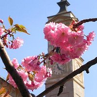 Il campanile della chiesa sovrastante