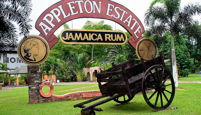 Our Old logo and Donkey Cart