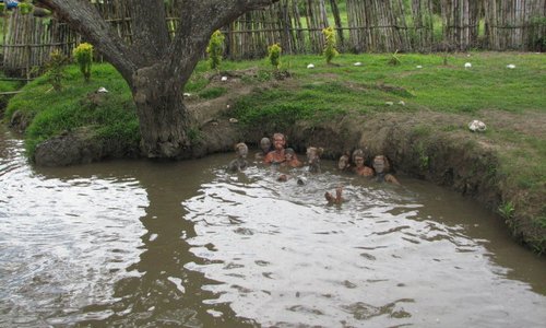 The 1st pool