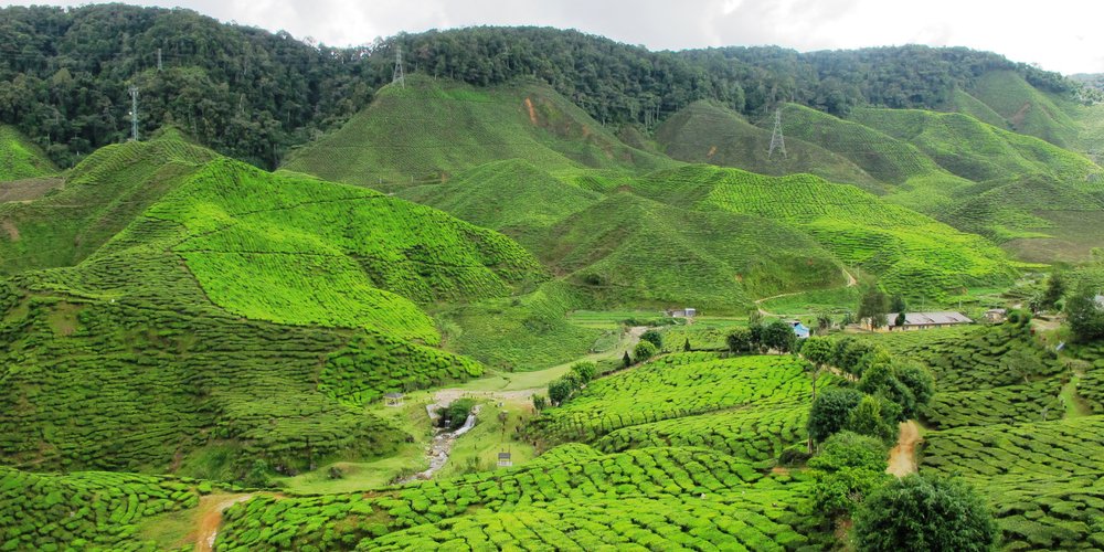 Tanah Rata, Malaysia: Tourismus in Tanah Rata - Tripadvisor