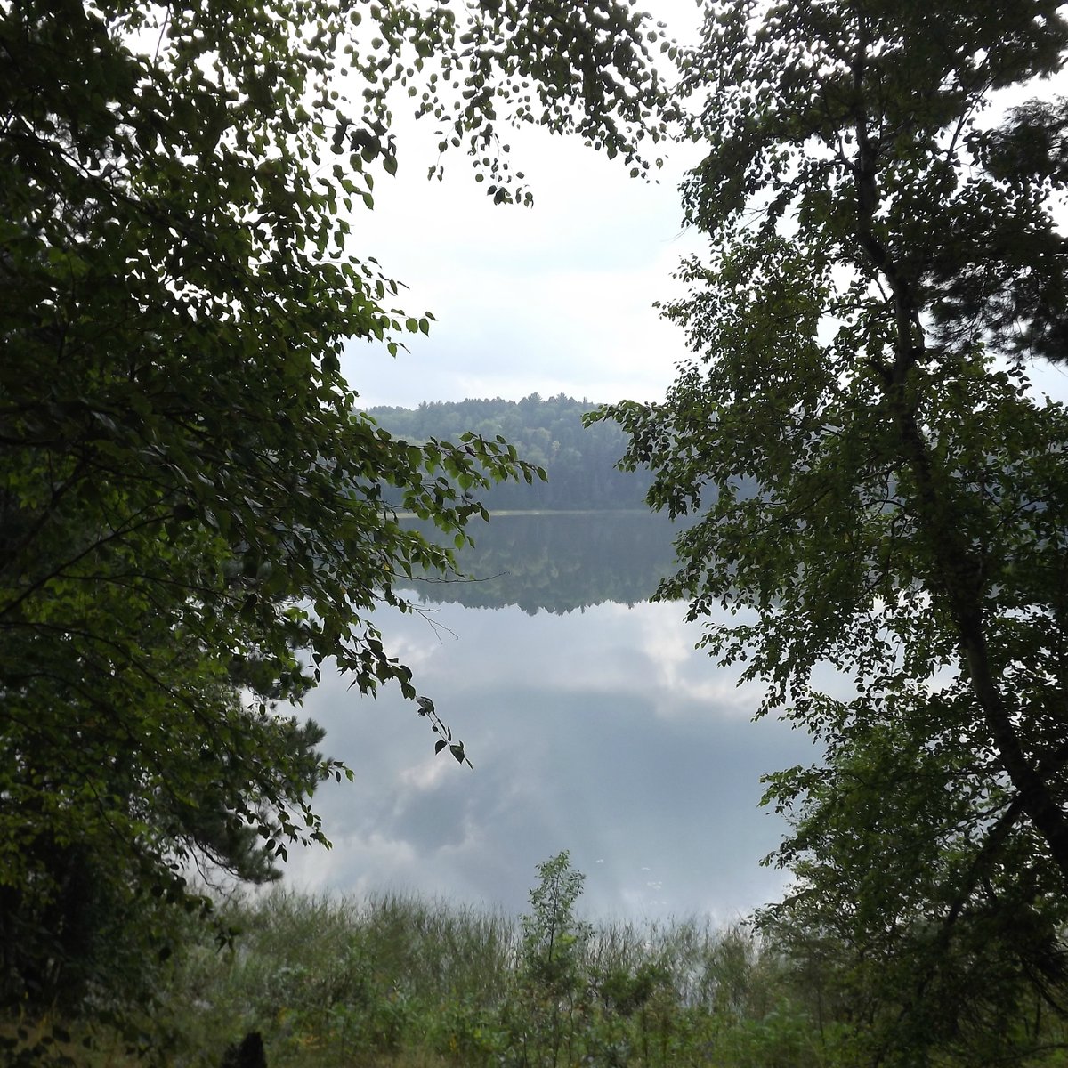 Preacher's Grove (Lake Itasca) - All You Need to Know BEFORE You Go