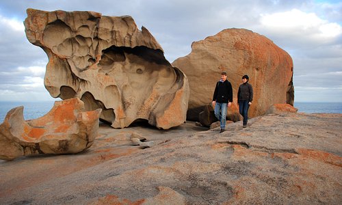 Tourisme A Ile Kangourou 21 Visiter Ile Kangourou Australie Tripadvisor Tourisme A Ile Kangourou 21 Visiter Ile Kangourou Australie Tripadvisor