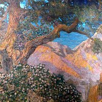 Dream Garden